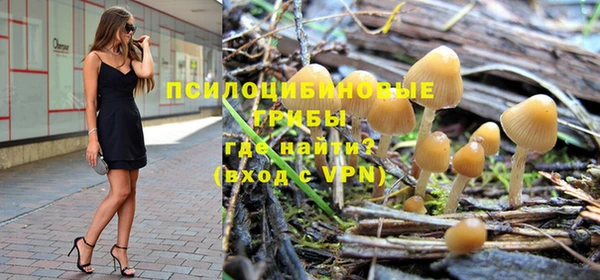 марки nbome Белокуриха