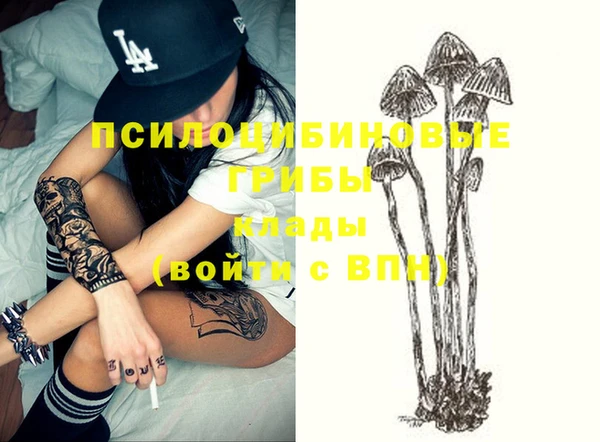 марки nbome Белокуриха
