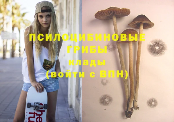 марки nbome Белокуриха