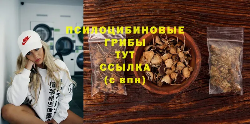 Псилоцибиновые грибы Magic Shrooms Буйнакск