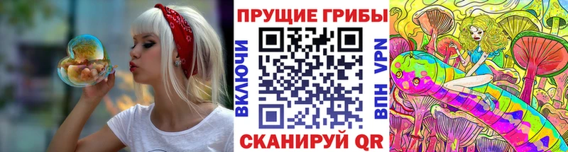 Галлюциногенные грибы MAGIC MUSHROOMS Буйнакск