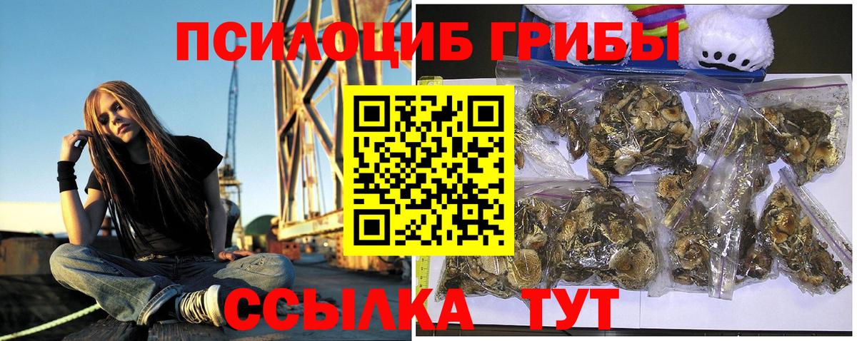 Галлюциногенные грибы MAGIC MUSHROOMS Буйнакск